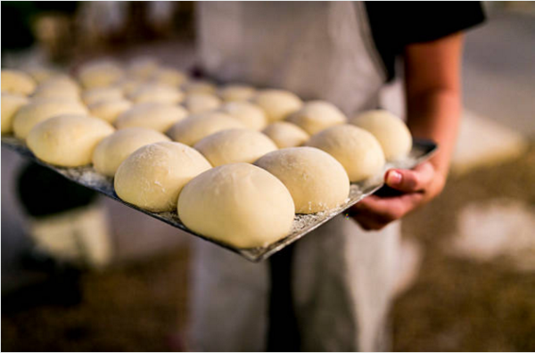 yeast là gì
